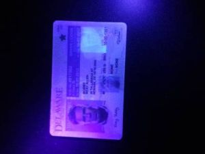 Fake id